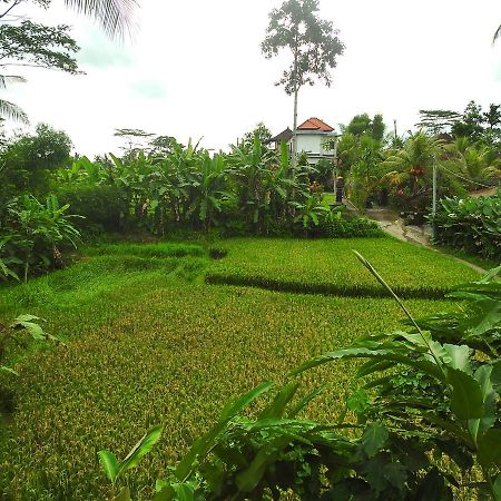 Mandala Hostel Ubud Buitenkant foto
