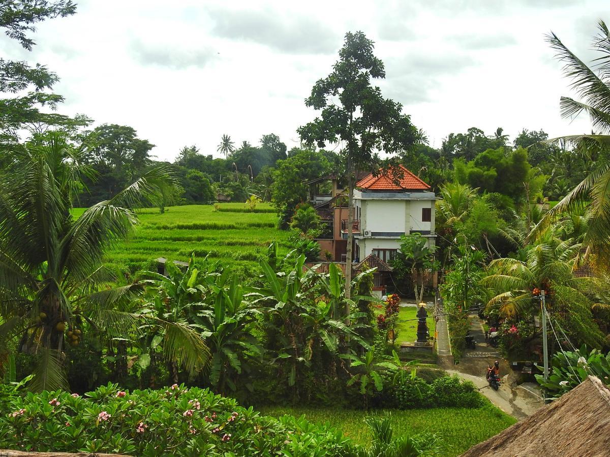 Mandala Hostel Ubud Buitenkant foto