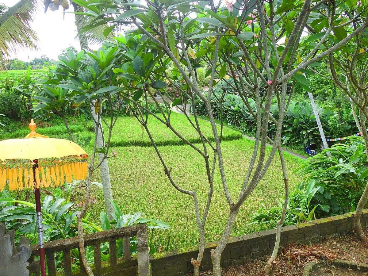Mandala Hostel Ubud Buitenkant foto
