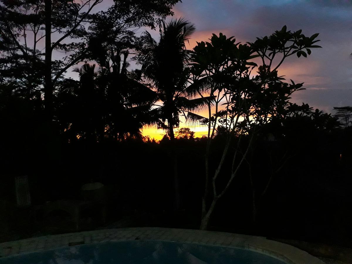 Mandala Hostel Ubud Buitenkant foto